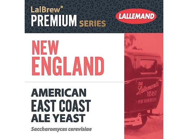 Lallemand New England 11g East Coast American Ale