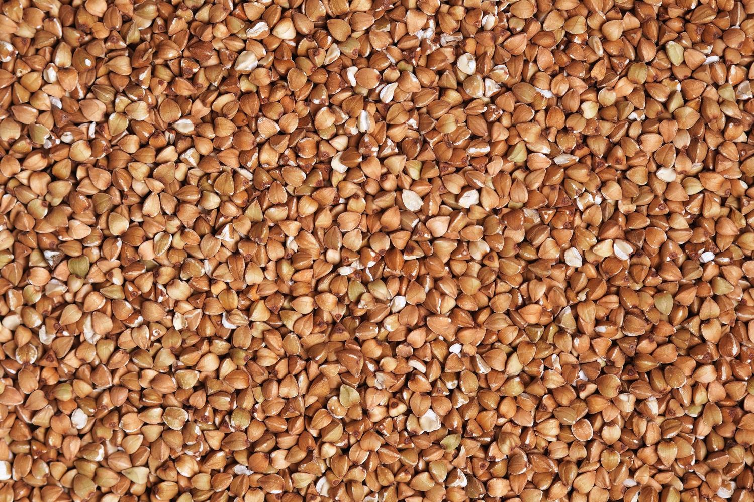 Buck Wheat (glutenfritt) malt 1 kg EBC 6-15