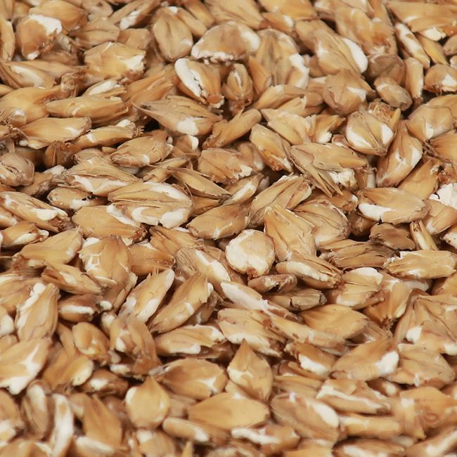 Chit Barley Flakes malt 1 kg